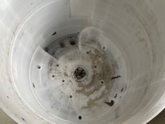 -十分到家家电清洗深圳