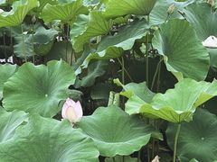 -南通博物苑-崇川人民公园