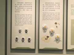 -中国茶叶博物馆(双峰馆区)