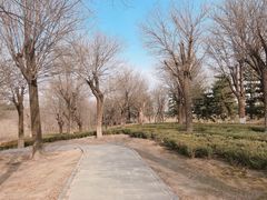 -秦文明广场