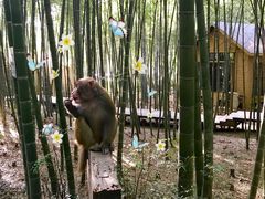 -苏州环秀晓筑养生度假村