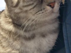 -猫儿山۰猫主题餐厅