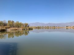 -野鸭湖国家湿地公园
