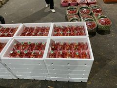 -菜园坝水果市场