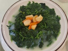 上汤桑叶-寻味顺德·南记酒家·传统顺德菜·鱼生(广源路店)