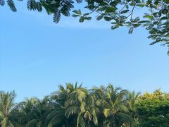 -海棠湾洲际-涛·海底餐厅·美人鱼·自助餐·海底隧道