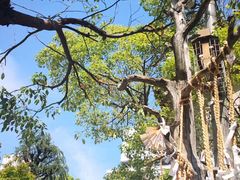 -难波八坂神社