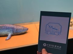 -天津自然博物馆