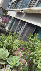 -橘米月子中心(青羊市妇幼店)