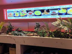 -凯达饺子城(燕山大街店)