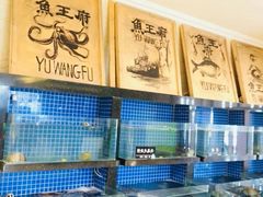 水产区-鱼王府大酒店