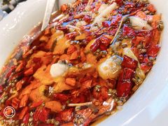 -辛香汇·现炒川菜(淮海路百盛店)