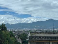 -蘑统田下·野生菌火锅