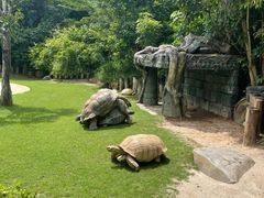 -珠海长隆海洋王国