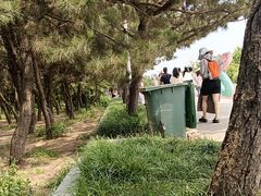-日照海滨国家森林公园