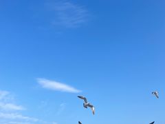 -棒棰岛宾馆景区