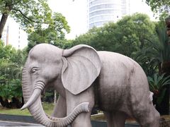 -华雅花园大酒店