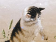 -深圳博物馆(古代艺术馆)