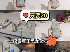 -世界恐龙谷景区