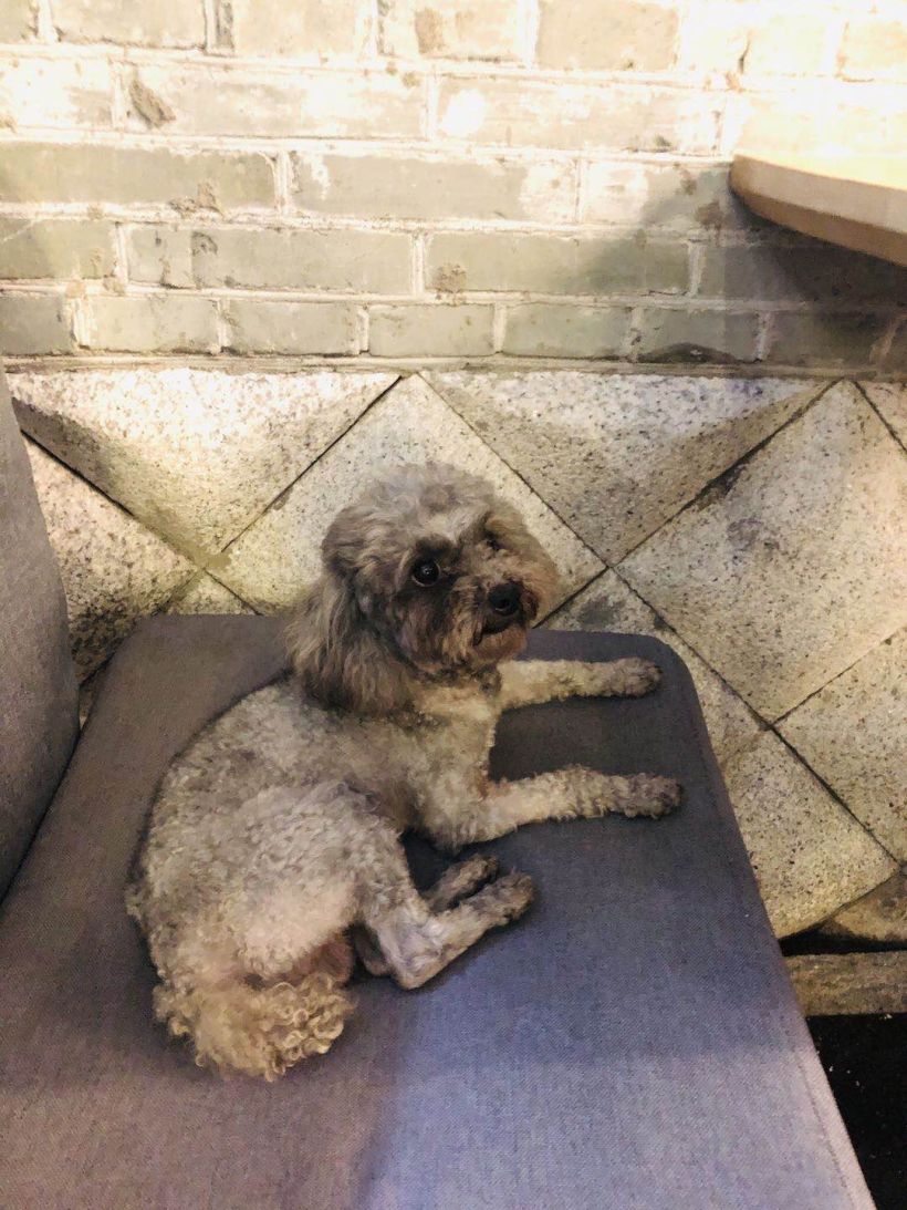 美好食物会传播