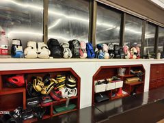 -温鉴良实用咏春拳