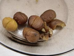 -阿男野栗王(金门路店)