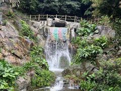 -南丹山森林王国