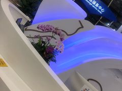 -上海浦东国际机场-T2航站楼