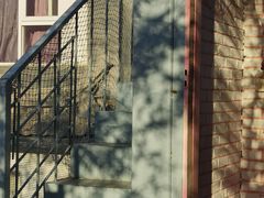 -喵屿·大理花园猫咖