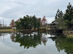 -三垟湿地