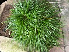 -三峡古玩城(泰古广场店)