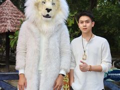 -灵玲国际马戏城