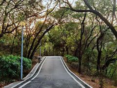 -广东花都湖国家湿地公园