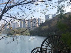 -重庆彩云湖湿地公园