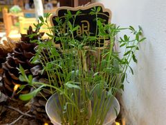 -饵块食光·云南有机手作饵块