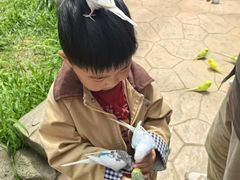 -北戴河集发农业梦想王国