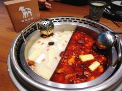 -快乐小羊·内蒙牛羊肉火锅(流花中心店)