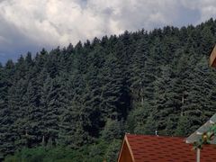 -鹞子沟国家森林公园