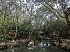 -兰亭风景区