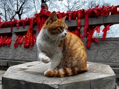 -终南山南五台景区