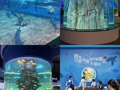 -福州罗源湾海洋世界旅游区