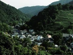 -龙井村