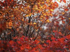 -沕沕水生态风景区