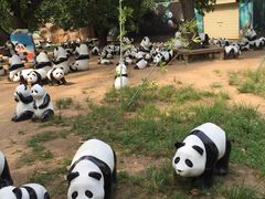 -西安秦岭野生动物园