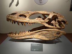 -自贡恐龙博物馆