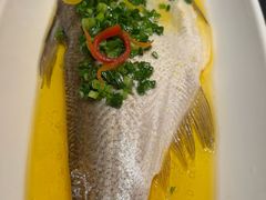 鸡油钱塘白丝鱼-钱塘秋荷·新江浙菜(沪太路店)