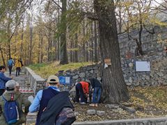 -阳台山自然风景区