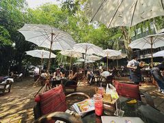 -Fern Forest Cafe