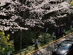 -心动网络股份有限公司(大宁中心广场店)