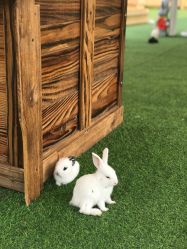 -萌宠亲子动物乐园(槐房万达店)